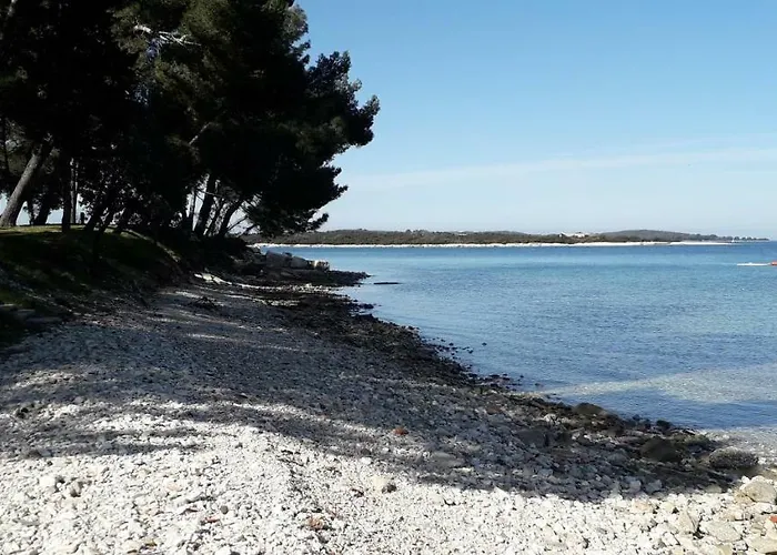 Mobile Cinzia Пула