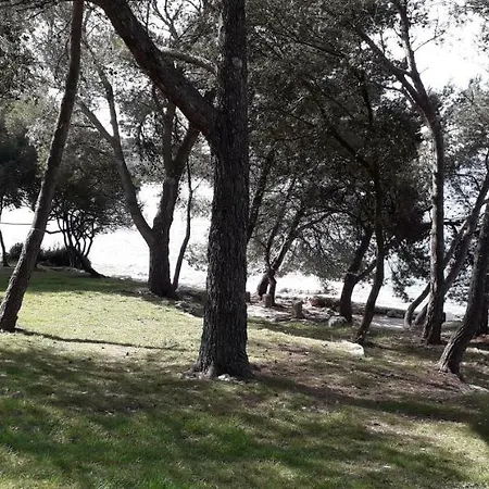 Mobile Cinzia * Pola